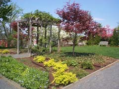 Garden with Benches